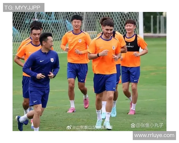 足球明星名单震撼发布 各大球星集结备战国际大赛精彩纷呈